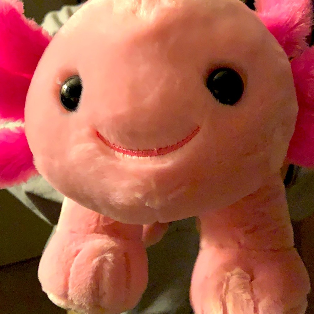 COPY - Build A Bear Axolotyl NWT